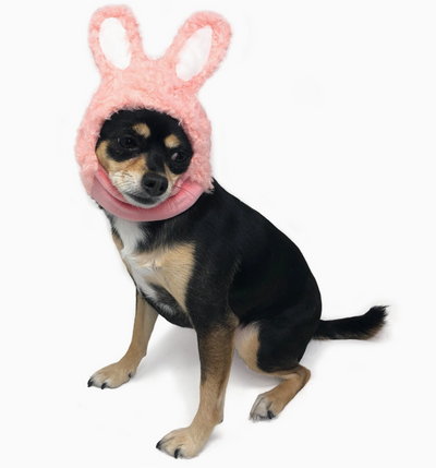 Dogo Bunny Hat For Dogs