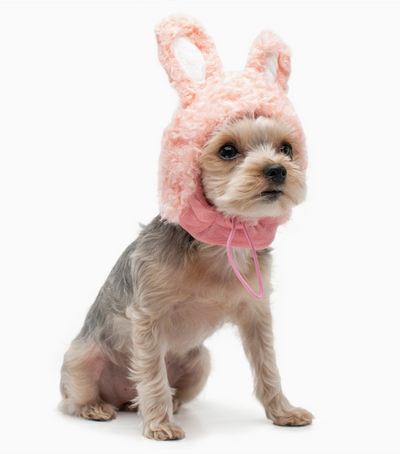 Dogo Bunny Hat For Dogs