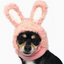 Dogo Bunny Hat For Dogs