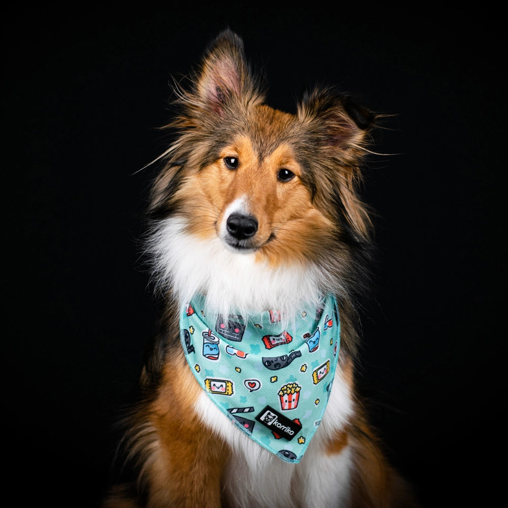 PupFix Cooling Bandana