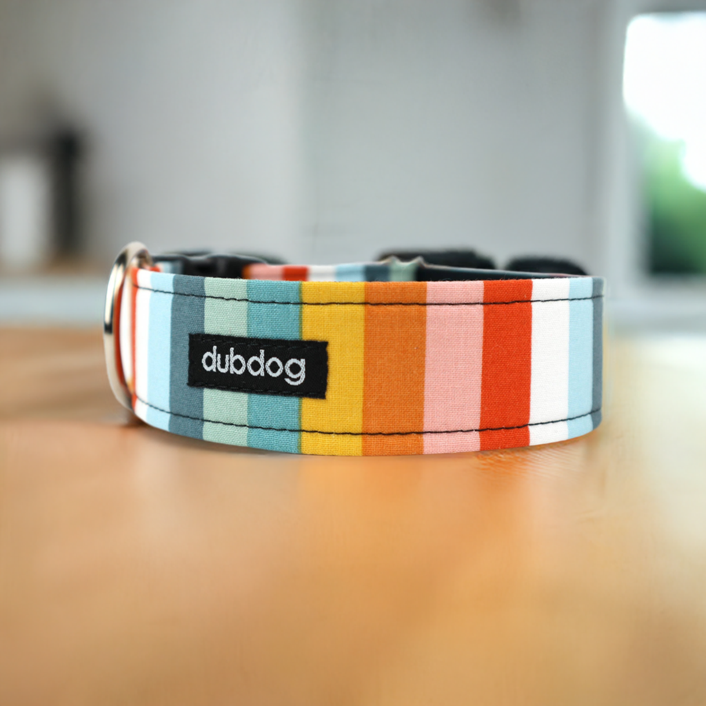 Dubdog Multi-Color Striped Dog Collar LG