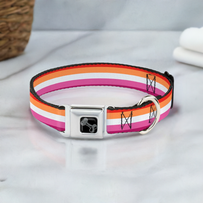 Buckle-Down Lesbian Pride Seatbelt Buckle Dog Collar