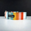 Dubdog Multi-Color Striped Dog Collar LG