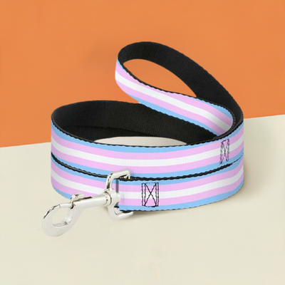 Buckle-Down Transgender Pride Dog Leash