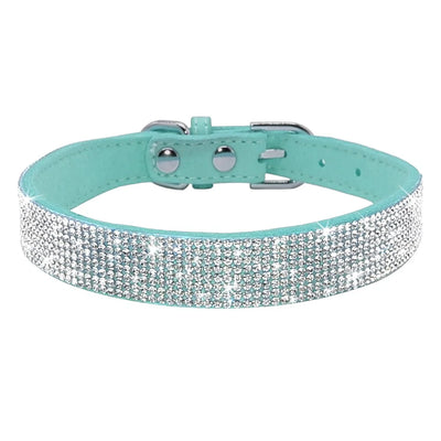 Variety of Shiny Collars for Cats and Dogs
