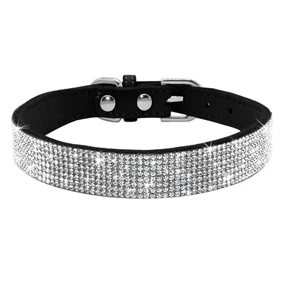 Variety of Shiny Collars for Cats and Dogs