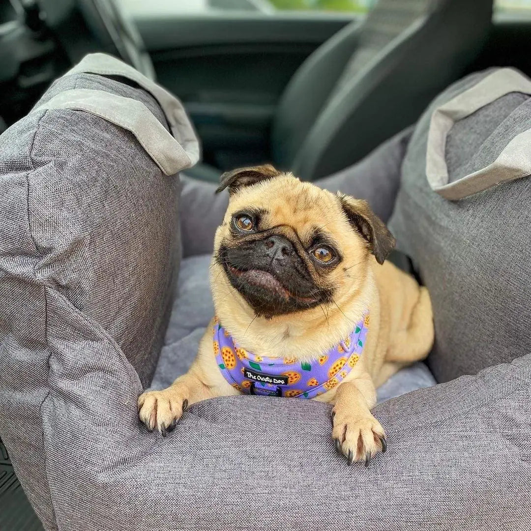 Pet Travel Bag for car seat