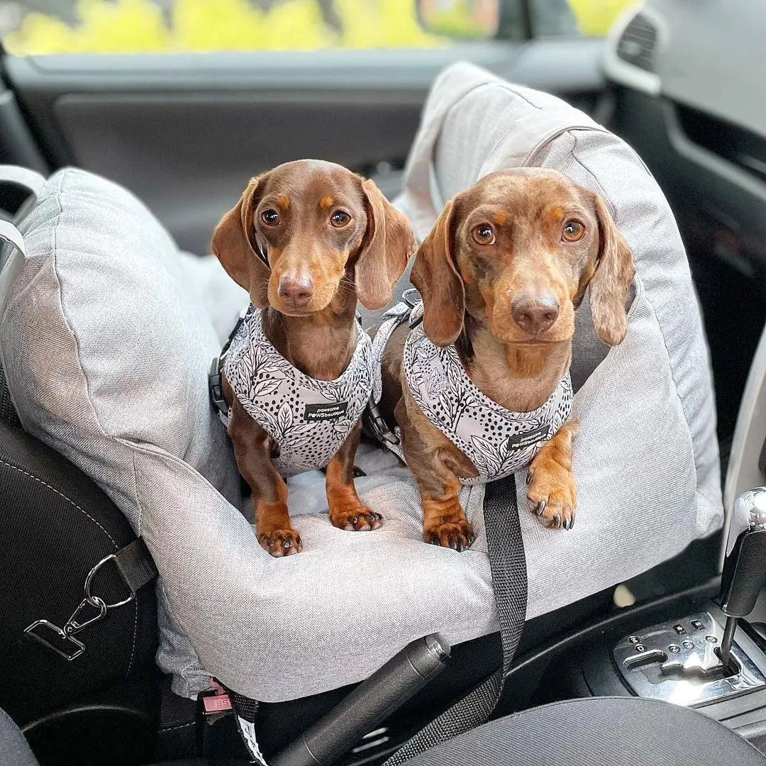 Pet Travel Bag for car seat