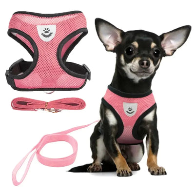Step in Dog Harness with Leash