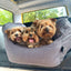 Pet Travel Bag for car seat