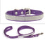 Pet Collar Spark Leash Set